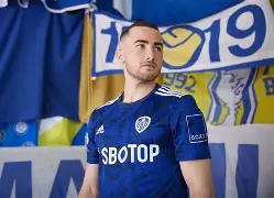 爱游戏-利兹联回英超